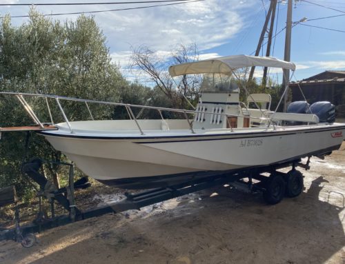 Boston Whaler Outrage 25