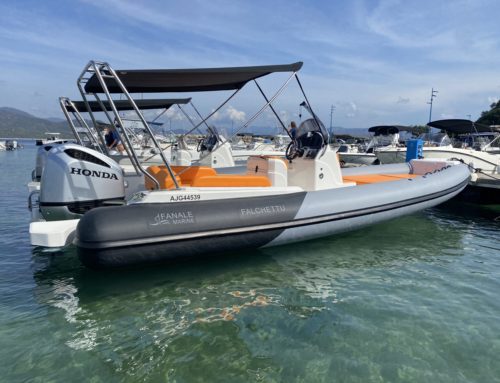 Fanale Marine Falchettu 700