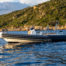 occasion-bateau-corse-bartoli-marine-