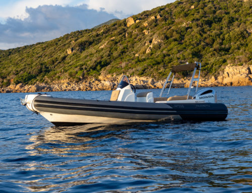 Fanale Marine Falchettu 700