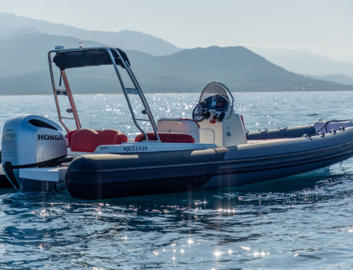 Fanale Marine Falchettu 700