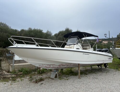 BOSTON WHALER 270 DAUNTLESS
